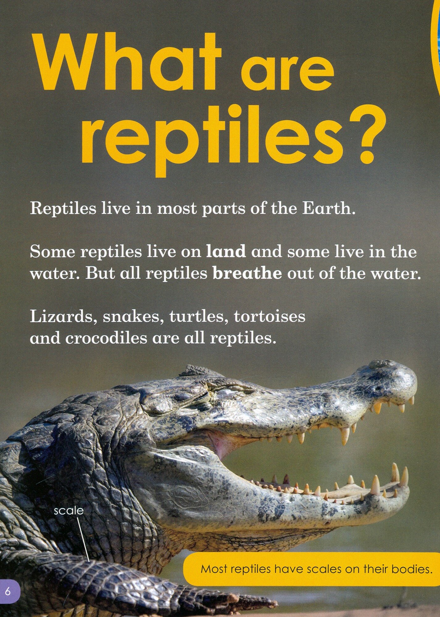 Do You Know? Reptiles (Level 3) - фото №2