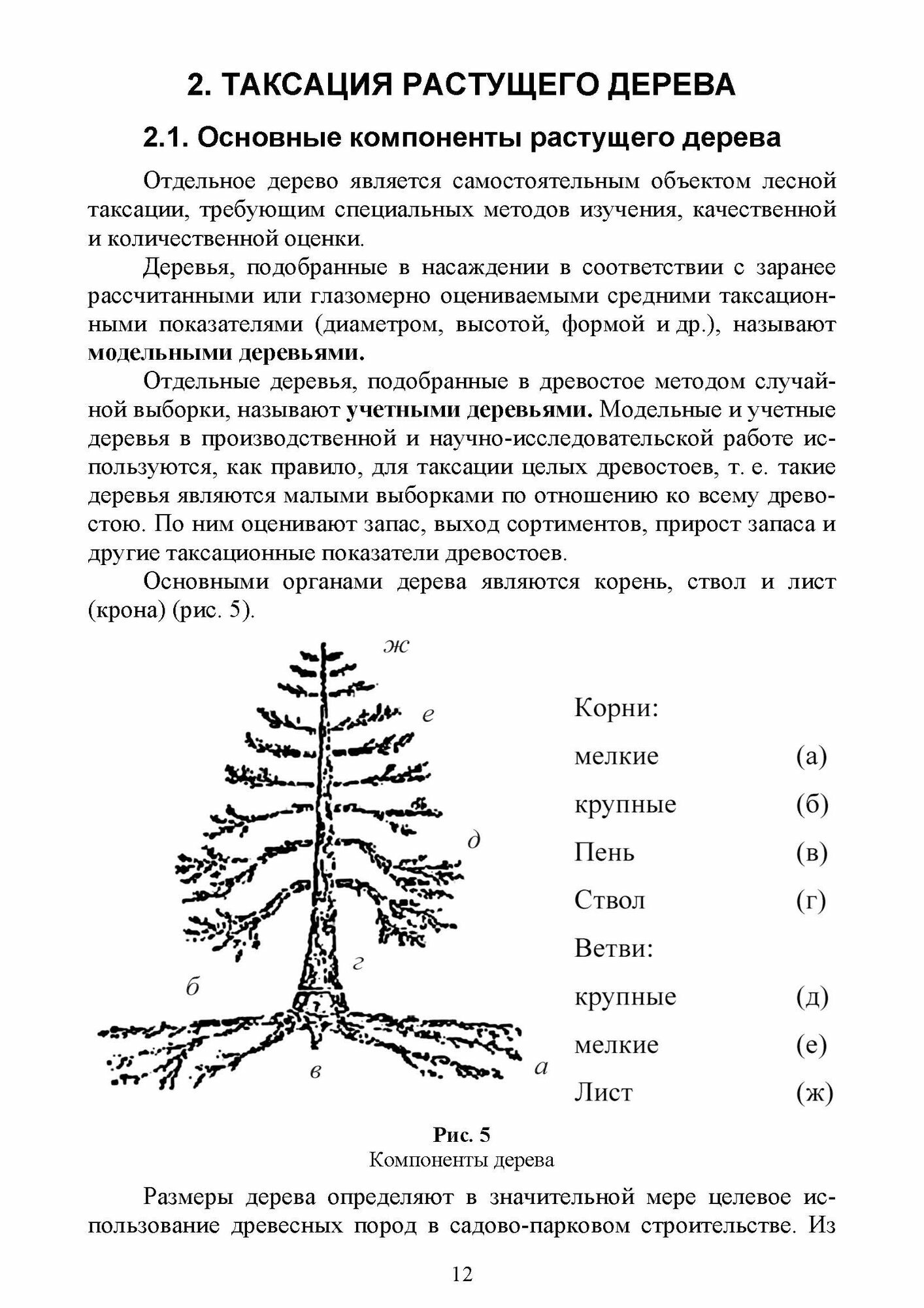 Ландшафтная таксация.СПО (Самсонова Ирина Дмитриевна) - фото №6