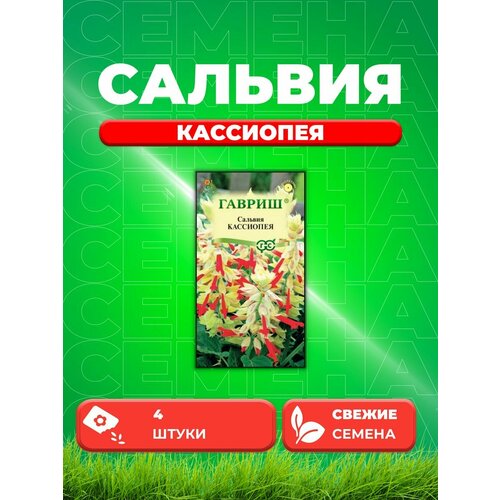 Сальвия Кассиопея, 4шт, Гавриш, Цветочная коллекция