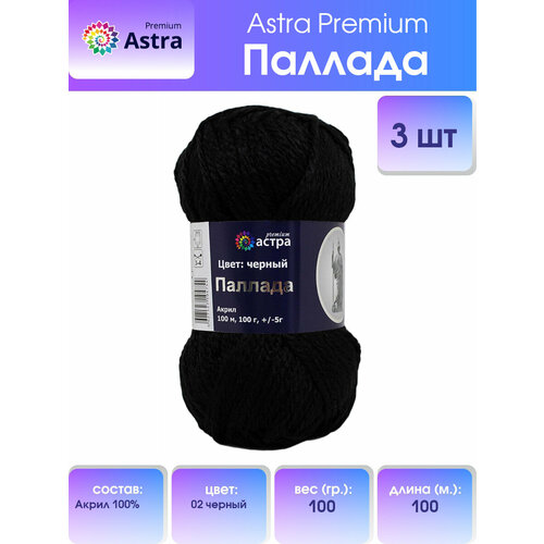 Пряжа для вязания Astra Premium 'Паллада', 100, 100м (100% акрил) (02 черный), 3 мотка микушина т афина паллада