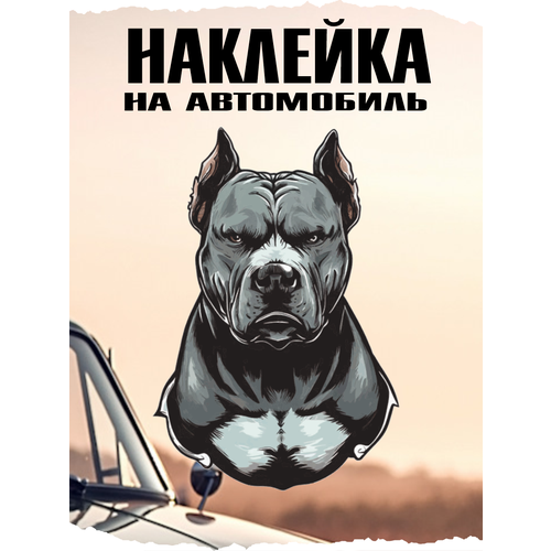 Наклейка на авто Питбуль
