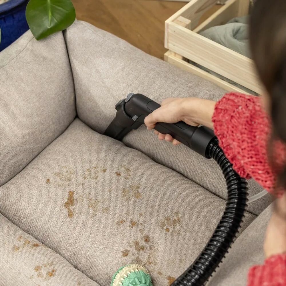 Моющий пылесос для дома Karcher SE 4 Plus для сухой и влажной уборки (химчистки) + средство RM 760, 800 гр, 1 многоразовый фильтр-мешок и сумка для аксессуаров VELERCART — фото 1