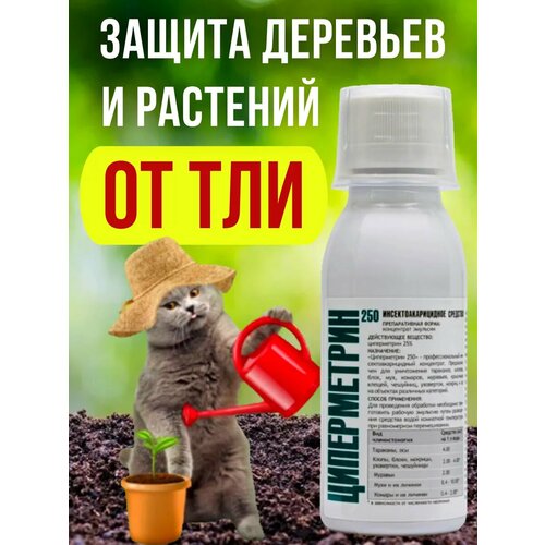 Средство от тли на розах