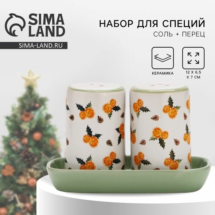 Набор для специй Дорого внимание Новый год. "Апельсины" 12х6,5х7 см