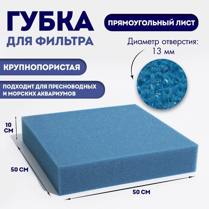 Губка прямоугольная, крупнопористая, лист 50 х 50 х 10 см, синий
