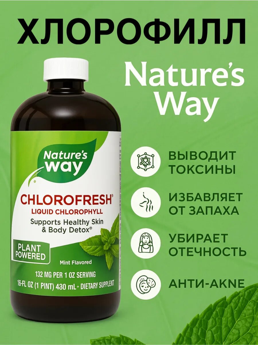 Nature's Way, Chlorofresh, производство США жидкий хлорофилл, мята, 480 мл (16 жидк. унций)