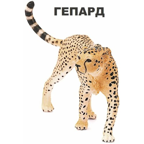 Животное гепард игровые фигурки schleich фигурка белый тигр