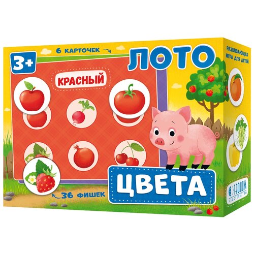 Лото «Цвета», 6 карточек, 36 фишек