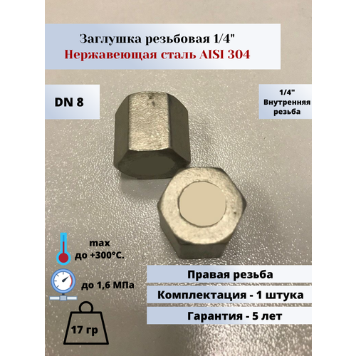 Заглушка вр шестигранная DN8 (1/4) (13,5мм) AlSl304