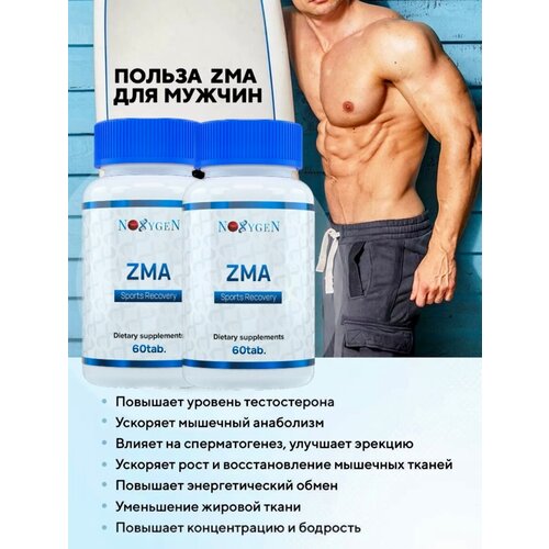 Noxygen ZMA цинк магний Б6 для повышения выработки тестостерона и улучшения тонуса тела цинк витамин b6 для выработки тестостерона zinc b6 dr hoffman 90 капсул