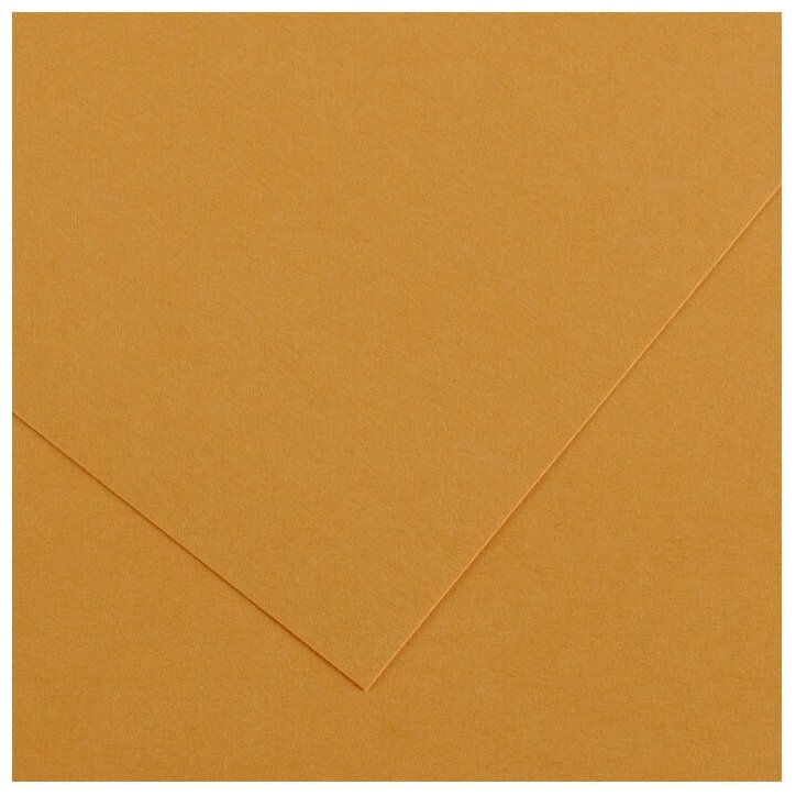 Бумага цветная Canson Iris Vivaldi 240г/м.кв 50x65см №32 Оранжевая кожа