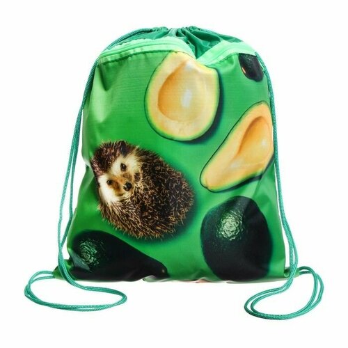 сумка ежик зеленое яблоко Мешок для сменной обуви (для сменки) с карманом 420 х 340 мм , (мягкий полиэстер , плотность 210D) , Ежик с Авакадо зеленое , для девочек , для мальчиков