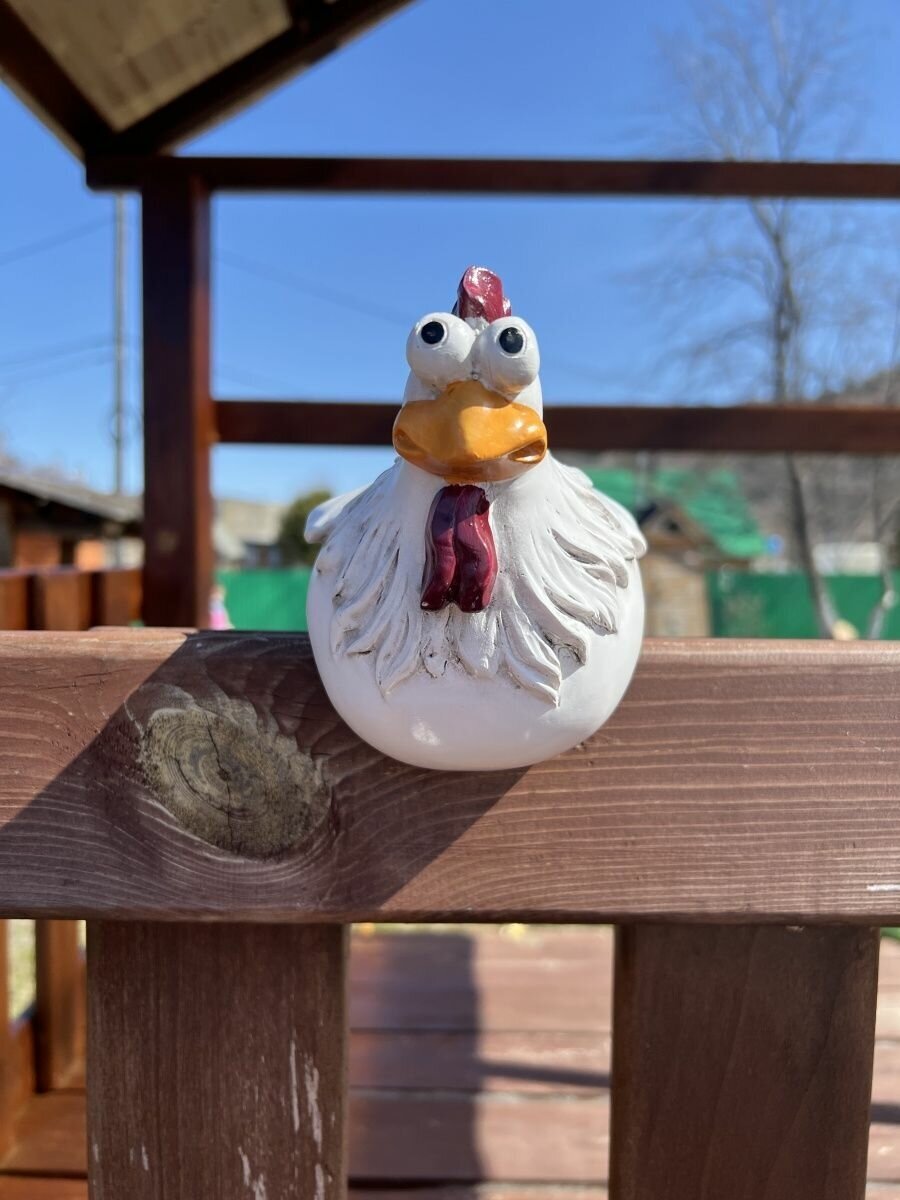 Курица на забор - фотография № 19