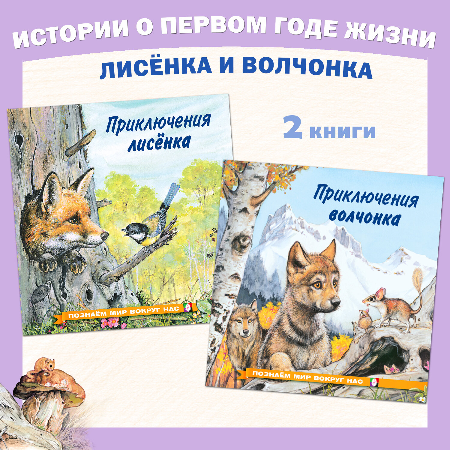 Сказки для детей Издательство Фламинго Познаем мир вокруг нас Комплект из 2 книг Приключения волчонка и лисёнка