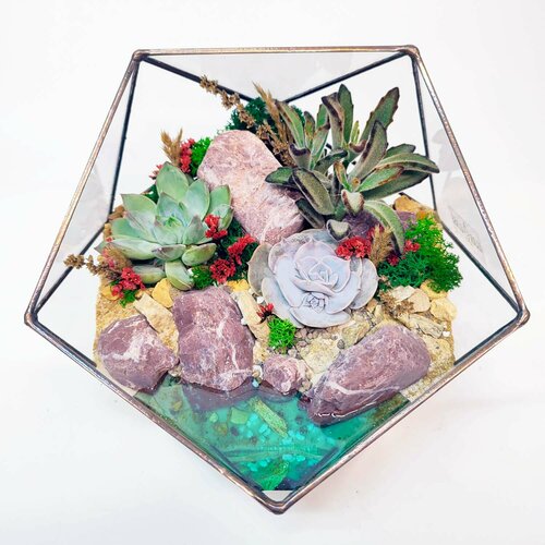 Флорариум с суккулентами 