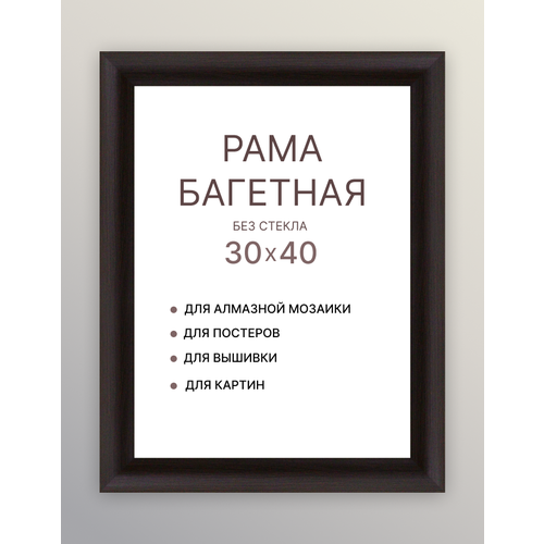 Багетная рама для картин 30х40 для картин по номерам на подрамнике холсте 30 на 40 вышивки рисунка алмазной мозаики