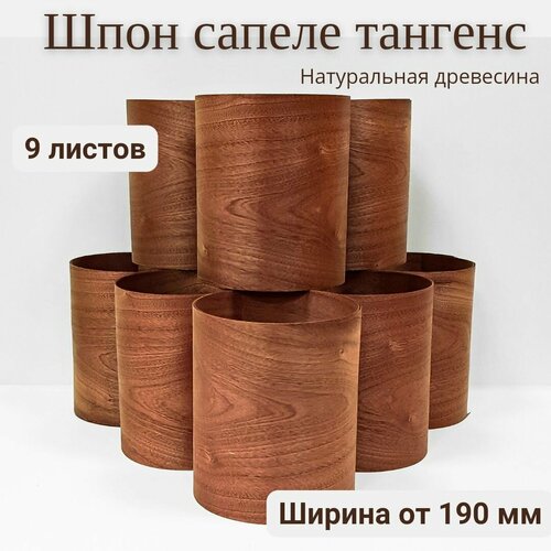 Шпон натуральный Сапеле тангенс, 2900мм, 9 листов, ширина 190мм+