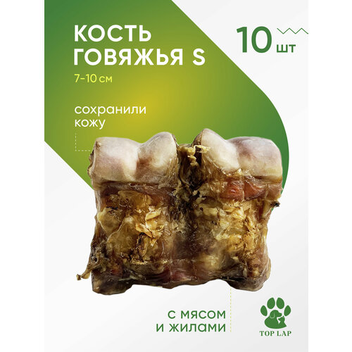 Кости говяжьи S 10 штук, лакомство для собак средних пород, грызть для собак, косточка для чистки зубов собаке