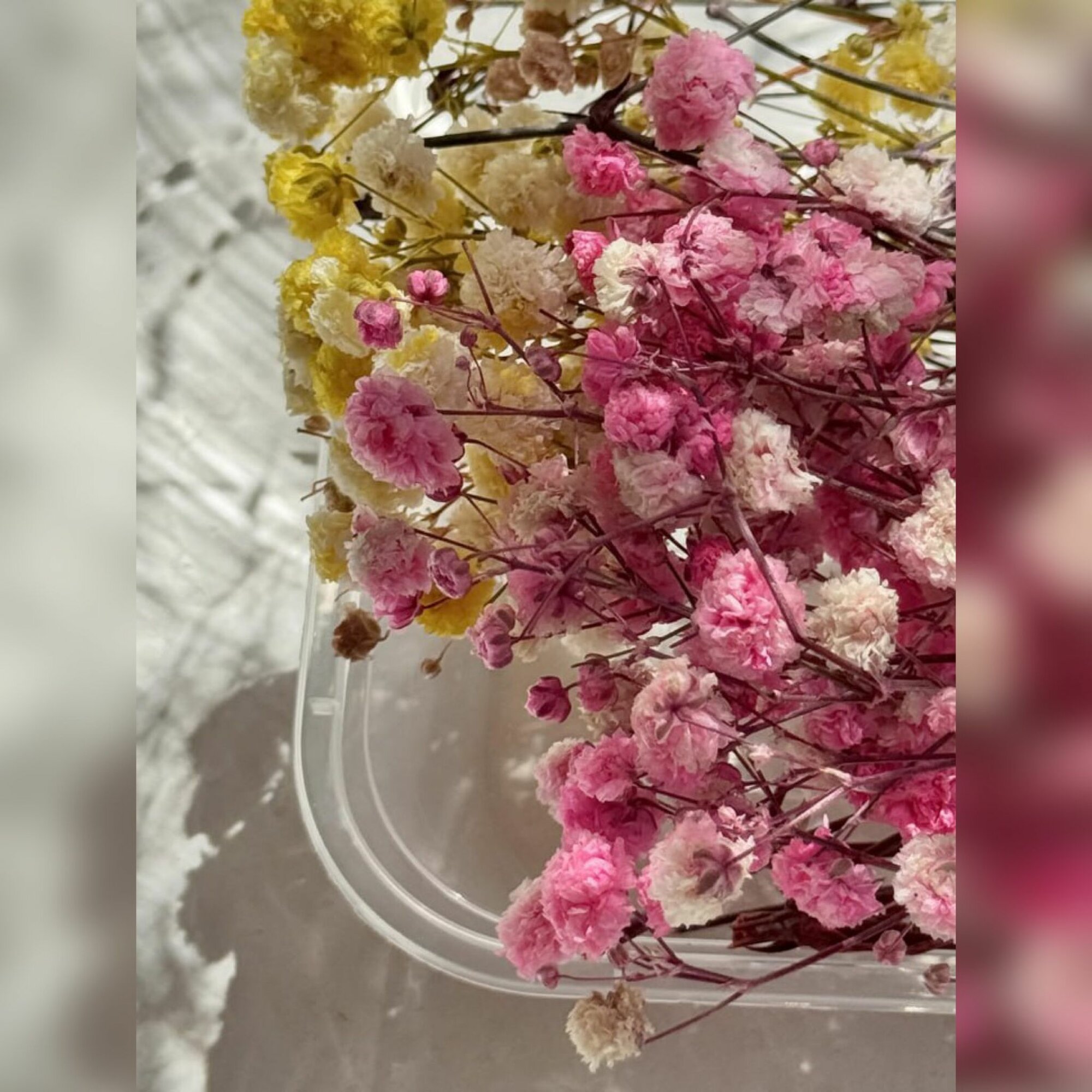 Натуральные сухоцветы для декора гипсофилы EPOXYMASTER, набор 4 цвета — фото 1