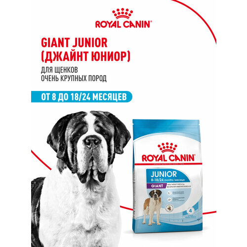 Корм для собак Royal Canin Корм Giant Junior (Джайнт Юниор) сухой для щенков очень крупных размеров до 8 месяцев, 3,5 кг