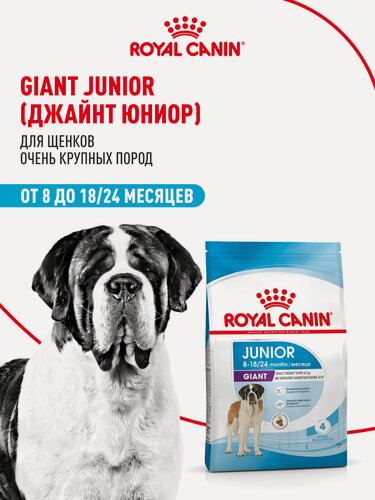 Изображение товара Сухой корм для щенков Royal Canin Giant Junior для очень крупных пород, 15 кг