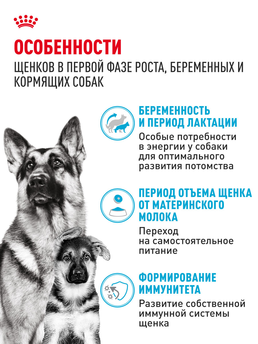 Сухой корм для щенков, беременных и кормящих собак Royal Canin Maxi Starter Mother&Babydog для крупных пород, 15 кг — фото 1