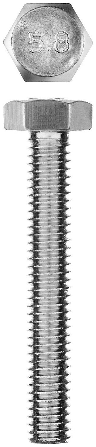 ЗУБР ГОСТ 7798-70, M6 x 40 мм, кл. пр. 5.8, болт оцинкованный, 5 шт (303086-06-040)