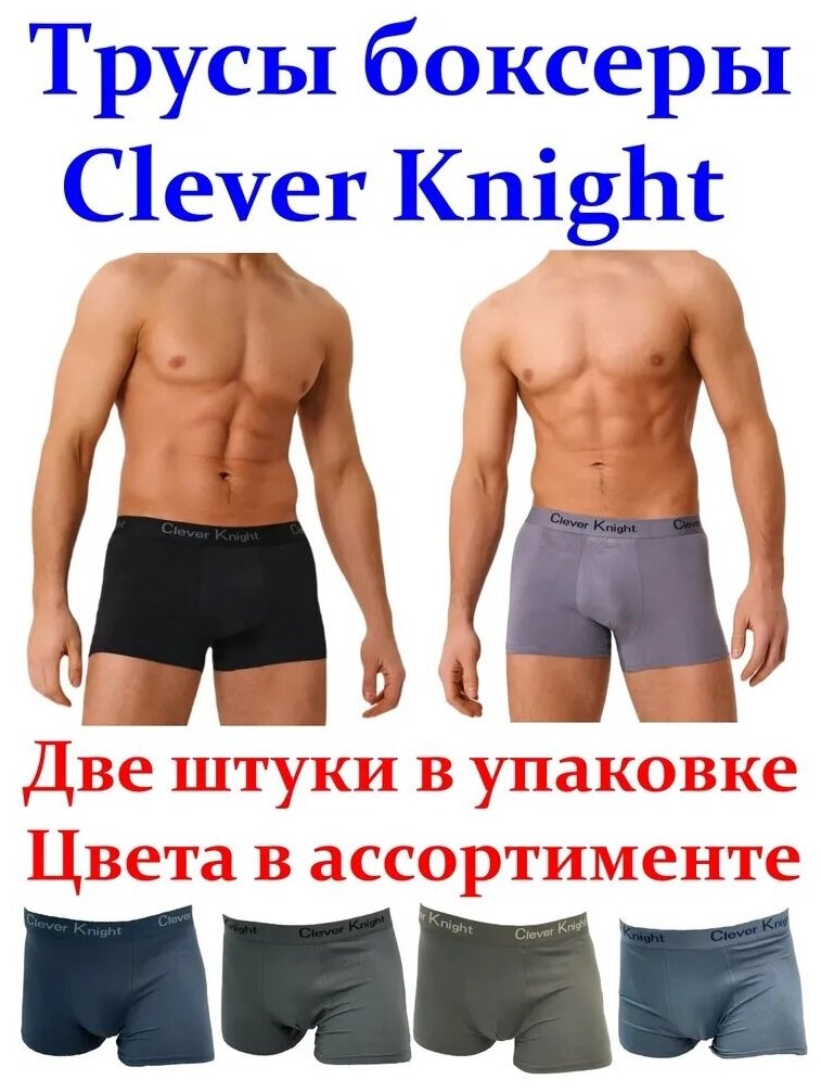 Мужские трусы-боксеры Clever Knight 2шт.