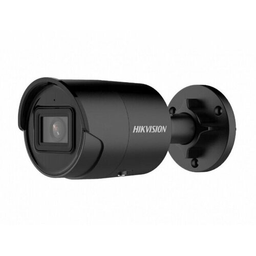 IP камера Hikvision DS-2CD2043G2-IUBLACK 28 мм черный 2122900₽
