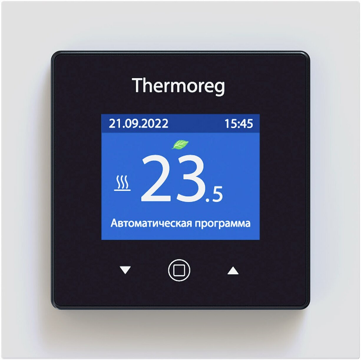 Терморегулятор Thermoreg TI-970 черный