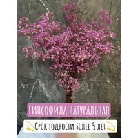 Гипсофила стабилизированная/гипсофила