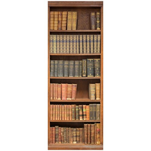 Фотообои на стену HARMONY Decor HD1-069 Книги в шкафу, 100 х 270 см, флизеиновые
