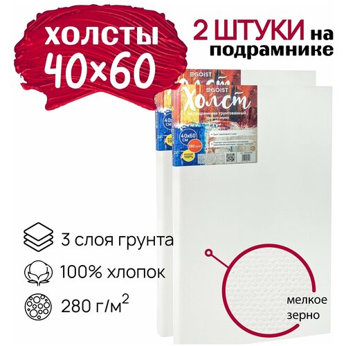 Холст грунтованный на подрамнике 40х60 см, плотность 280 г/м2, набор 2 штуки