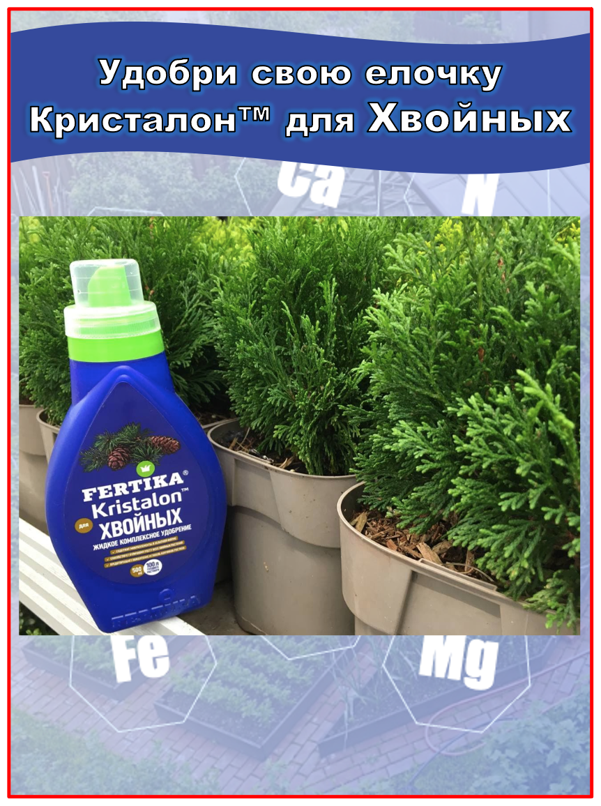 Удобрение FERTIKA (Фертика) Kristalon для хвойных, 0.5 л - фотография № 18