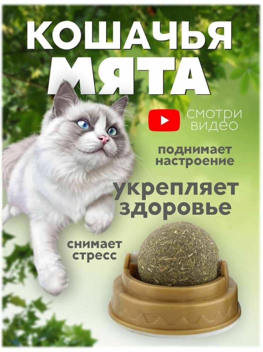 Кошачья мята для кошек мятный шарик леденец для кошек