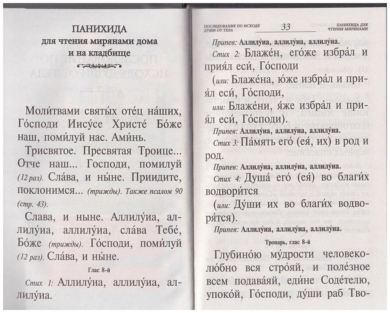 Псалтирь и каноны по усопшим для слабовидящих - фото №4