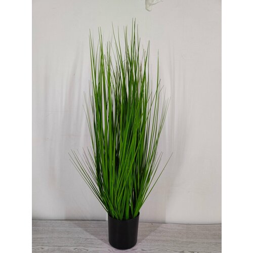 Осока искусственная