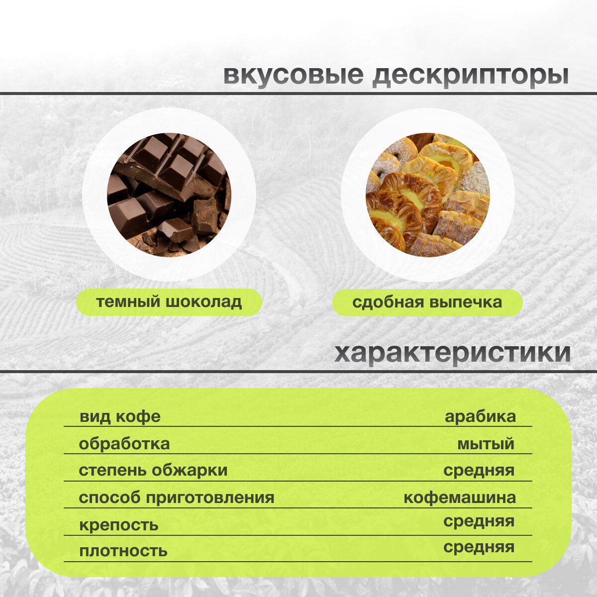 Кофе в капсулах 9 BAR coffee & roasters Уганда Cute Otter, карамель, свежеобжаренный, арабика 100%, 10 шт. - фотография № 2