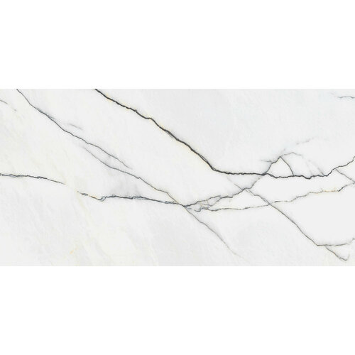 Плитка из керамогранита Staro Slim PANDA WHITE 5мм MATT для стен и пола универсально 60x120 цена за 144 м2 2754₽