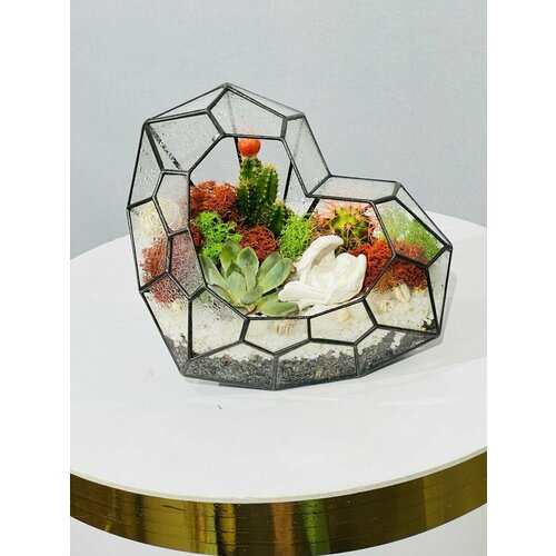 Флорариум / Комнатное растение / Мини сад в вазе