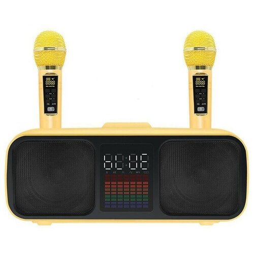 Колонка с караоке караоке система для дома 2 беспроводных микрофона караоке для дома дисплей сенсорные кнопки аккумулятор 4000 mAh золотой 999000₽