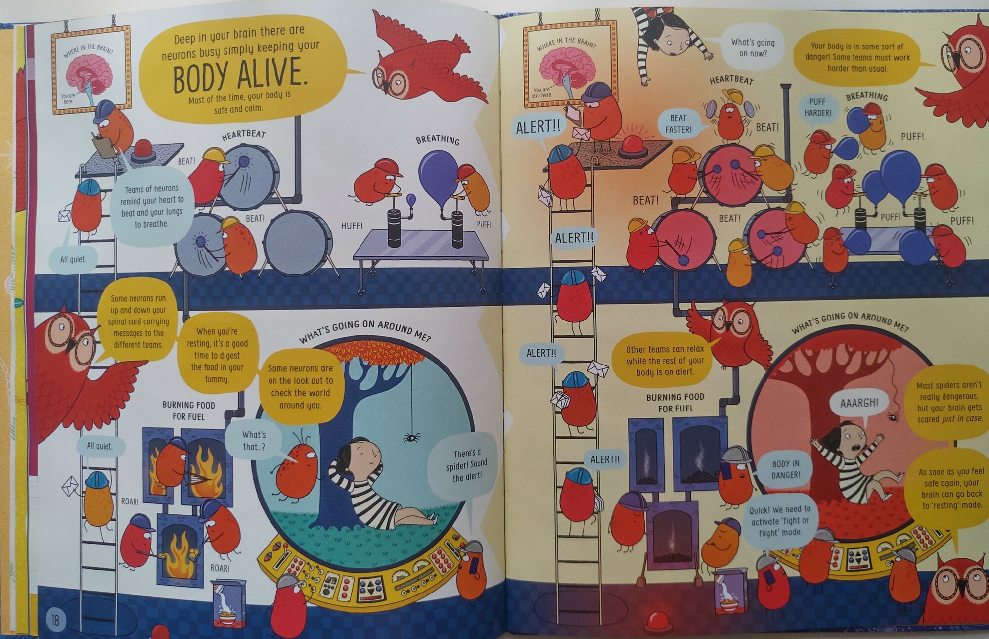 Book of the Brain and How it Works - фото №4