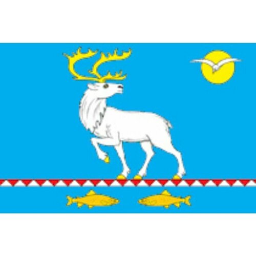 Флаг Анадырского района