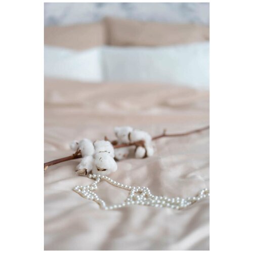 фото Комплект постельного белья siesta home евро мини латте (200х200, 180х200х25, 50х70)