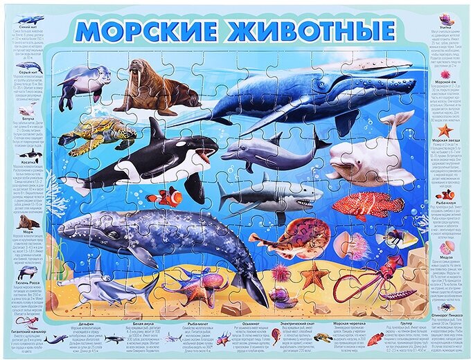 Пазл-рамка 60 "Морские животные"