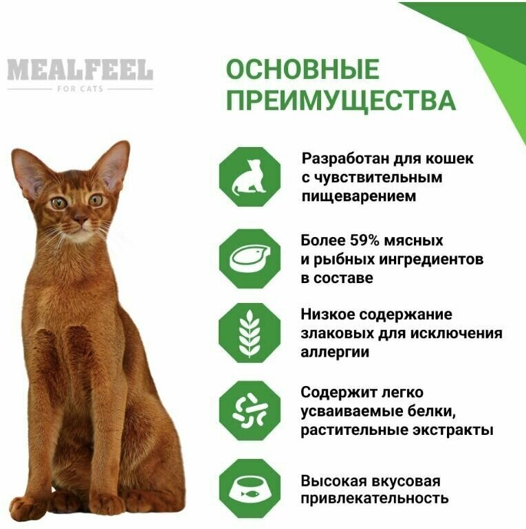 Mealfeel Корм сухой для кошек с чувствительным пищеварением с индейкой и лососем, 400г, 2 шт - фотография № 2