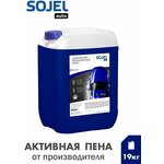 Автошампунь SJ-100 Sojel - изображение