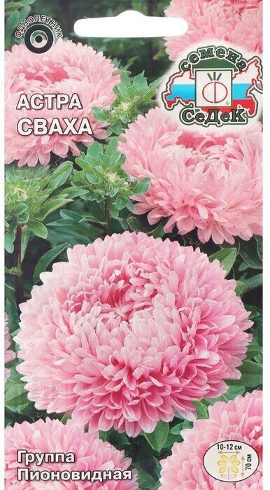 Семена цветов Астра "Сваха "0.2 г