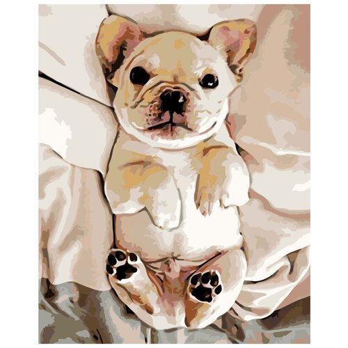 Ласковый щенок Раскраска картина по номерам на холсте