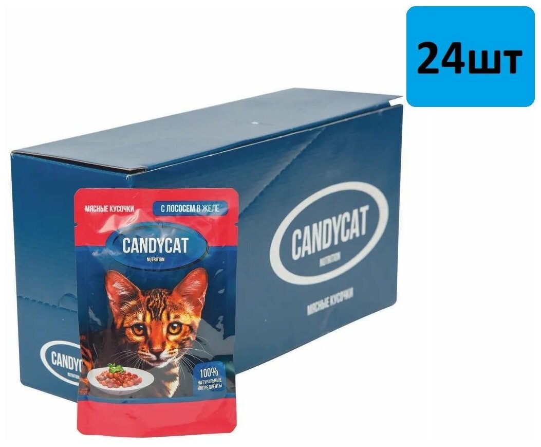 Консервы для кошек CANDYCAT лосось в желе, 85 г х 24 шт - фотография № 2